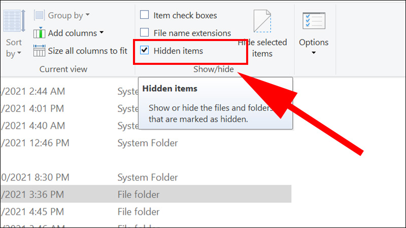 Check box tại mục Hidden items